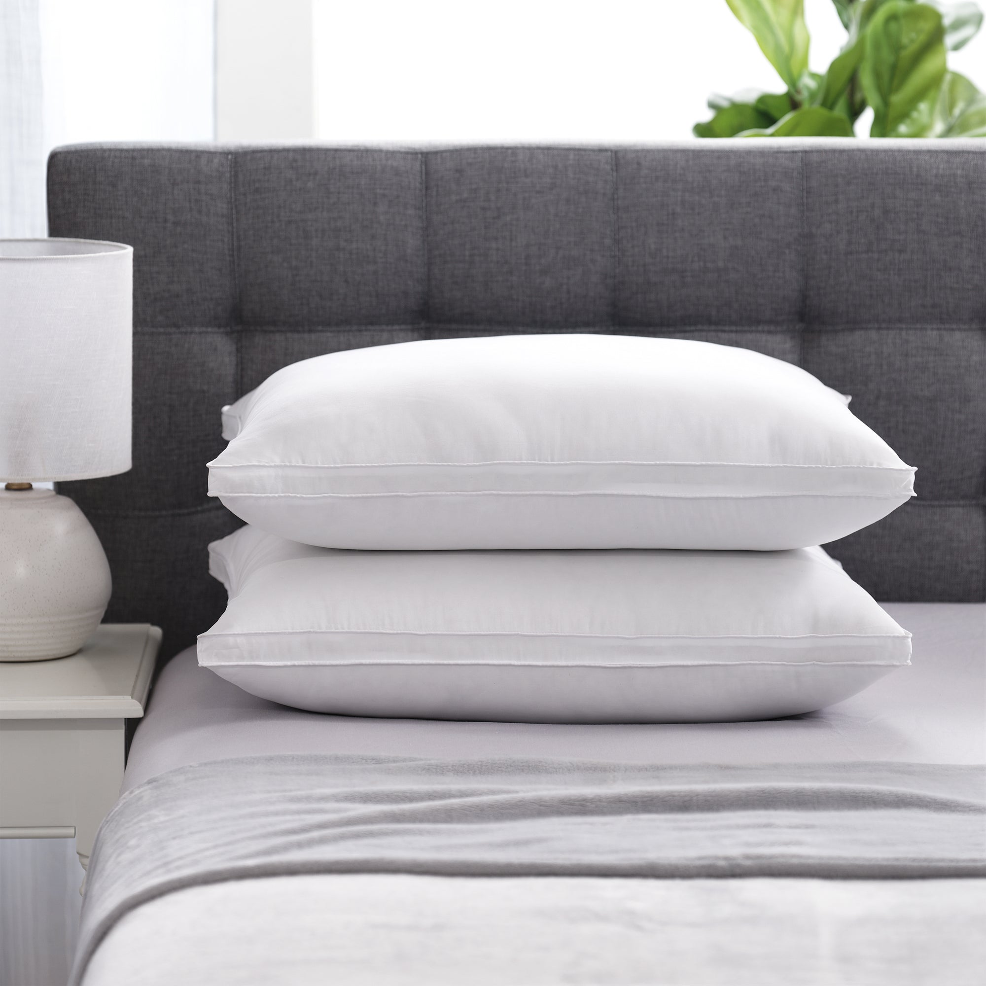 Maximus Overstuffed Firm Gusset Pillow Allied Home